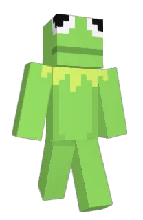 Front of asciinfo's skin