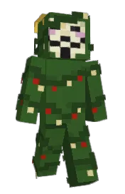 Skin preview