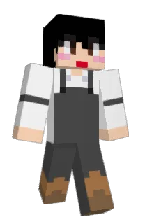Front of Minecraft skin