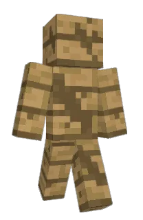 Front of leelost's skin