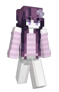 Front of blahajs's skin
