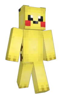 Front of __didi's skin