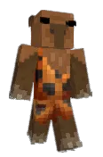Markusmini