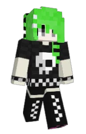 Skin preview