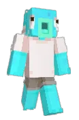 polaskit
