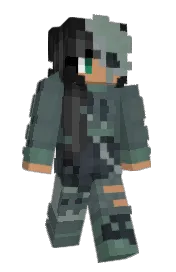 Skin preview