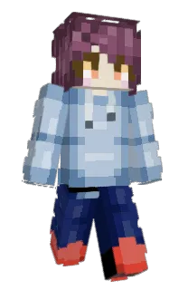 Front of melatonisti's skin