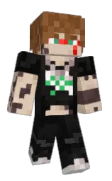 Minecraft skin — Classic model