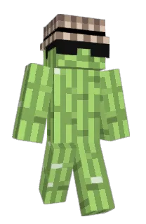 Front of Zetakron's skin