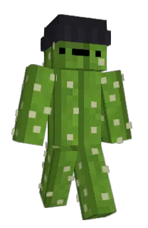 Conez27's Minecraft skin