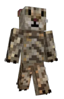 Front of arxzZ_333's skin