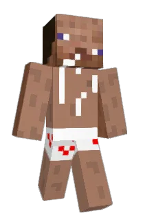 Front of Minecraft skin