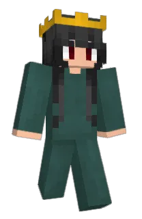 Front of hitblocking's skin