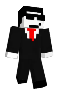 Front of Wrince's skin
