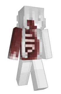Terror764's Minecraft skin