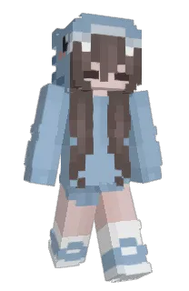 Front of shibim's skin