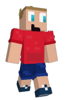 Front of PIMJOCHEM's skin