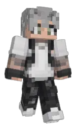 Minecraft skin — Classic model