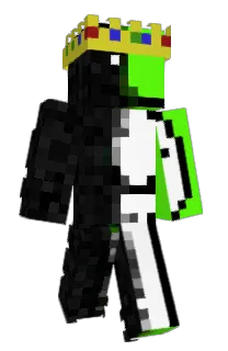 Front of BroHinne's skin