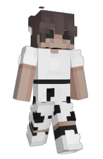 Front of squirrelbrain5's skin