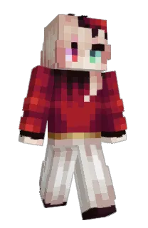Front of lmoi's skin