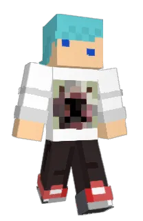 iCocodril333's Minecraft skin