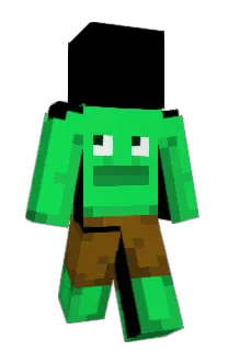 Mittraun's Minecraft skin