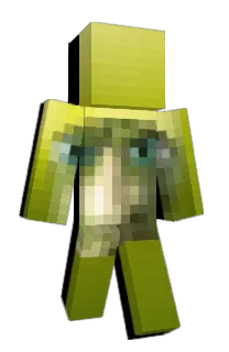 Front of Minecraft skin