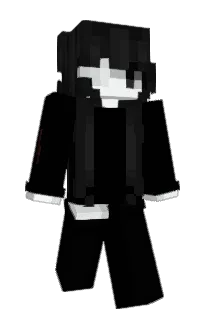 Front of nvzv's skin