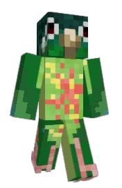 Skin preview