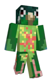 Front of UnknownIngot's skin