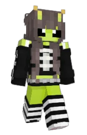 Skin preview