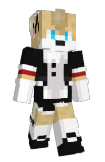 Front of DiziFenek's skin