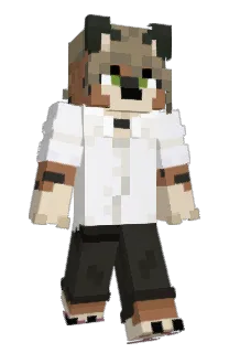 Front of Meowticat's skin