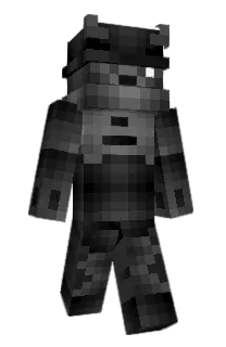Front of Slcz's skin