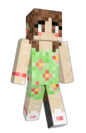 Skin preview