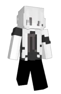 Front of veici's skin