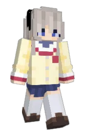 Skin preview