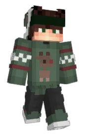 Skin preview