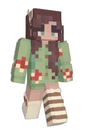 Skin preview