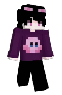 Front of eccopip's skin