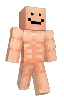 Front of mercuryexpo's skin