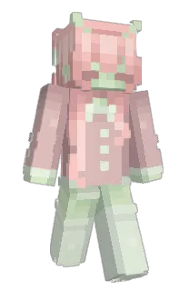 dussekars's Minecraft skin