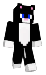 Minecraft skin — Classic model