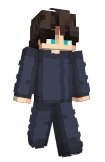 Front of Solarini's skin