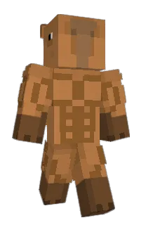 Front of BlueJeanVerde's skin