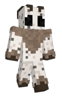 Front of spokyness's skin