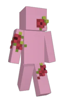 Front of Tajus_fr's skin