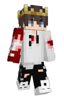 Front of SevenCr's skin