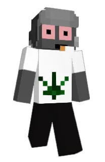 Front of nettspnd's skin